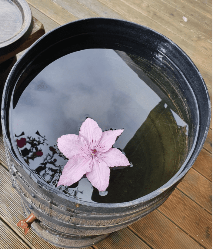 картинка Садовая бочка RAINBARREL 50L + подставка Интернет-магазин "EraGarden"