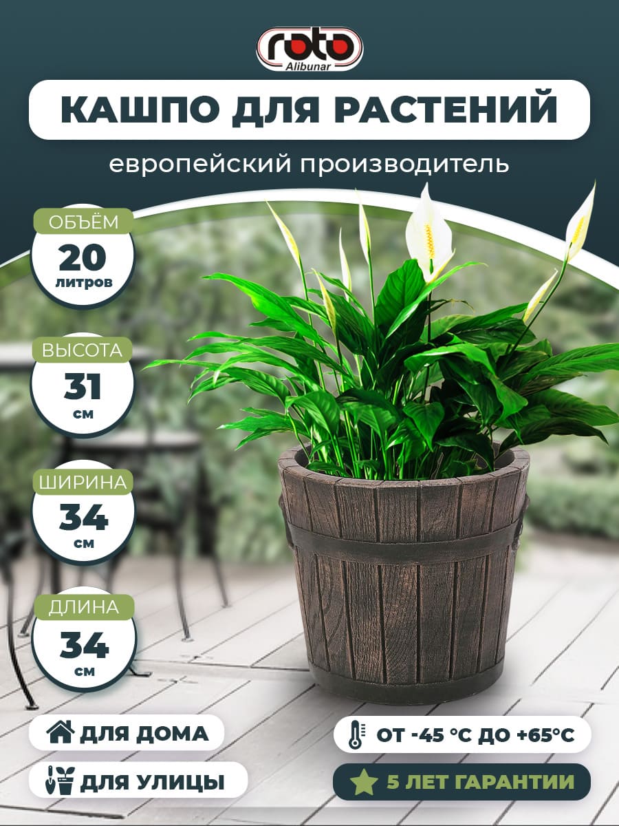 картинка POLKA S Интернет-магазин "EraGarden"