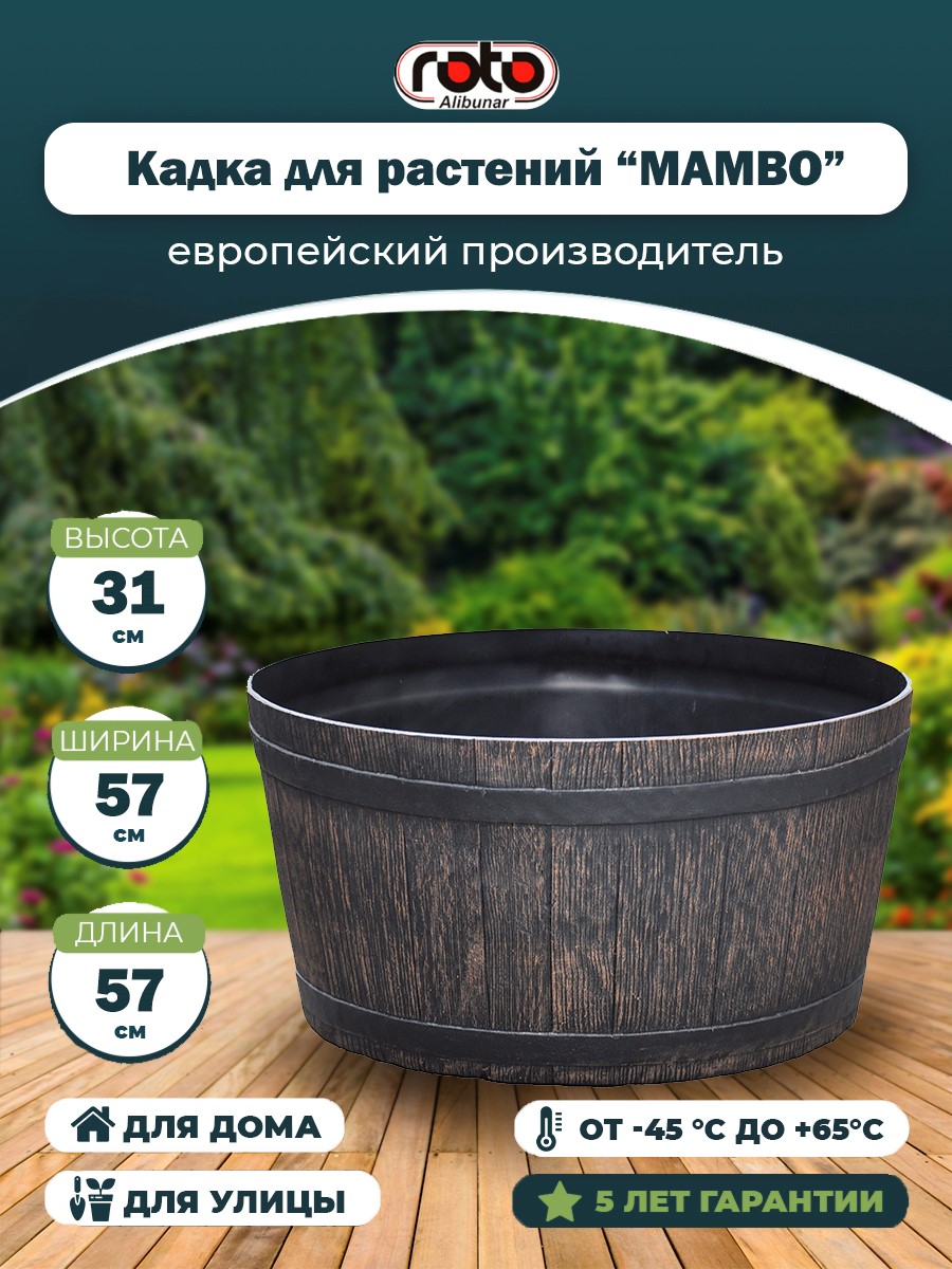 MAMBO M