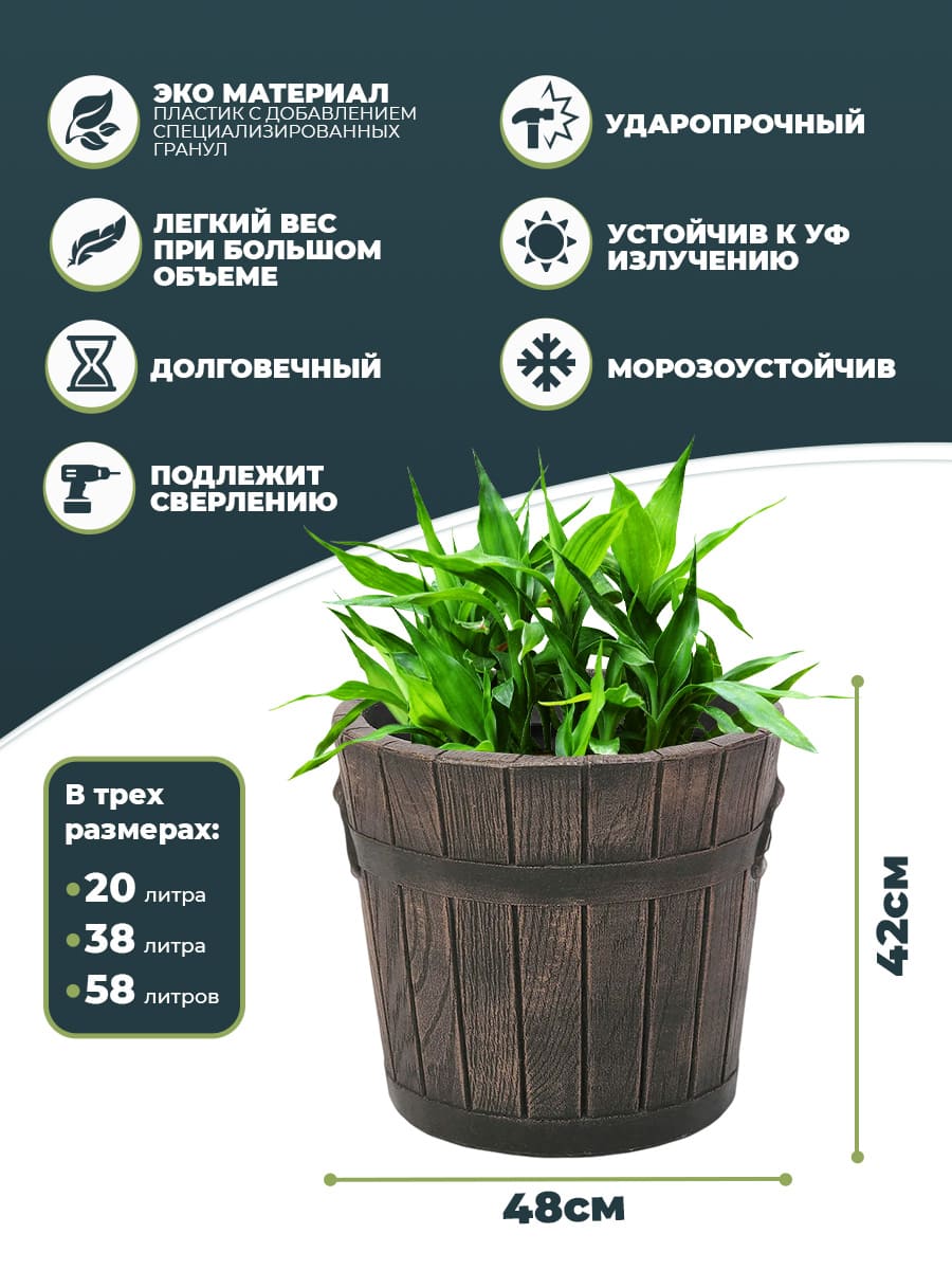 картинка POLKA L Интернет-магазин "EraGarden"