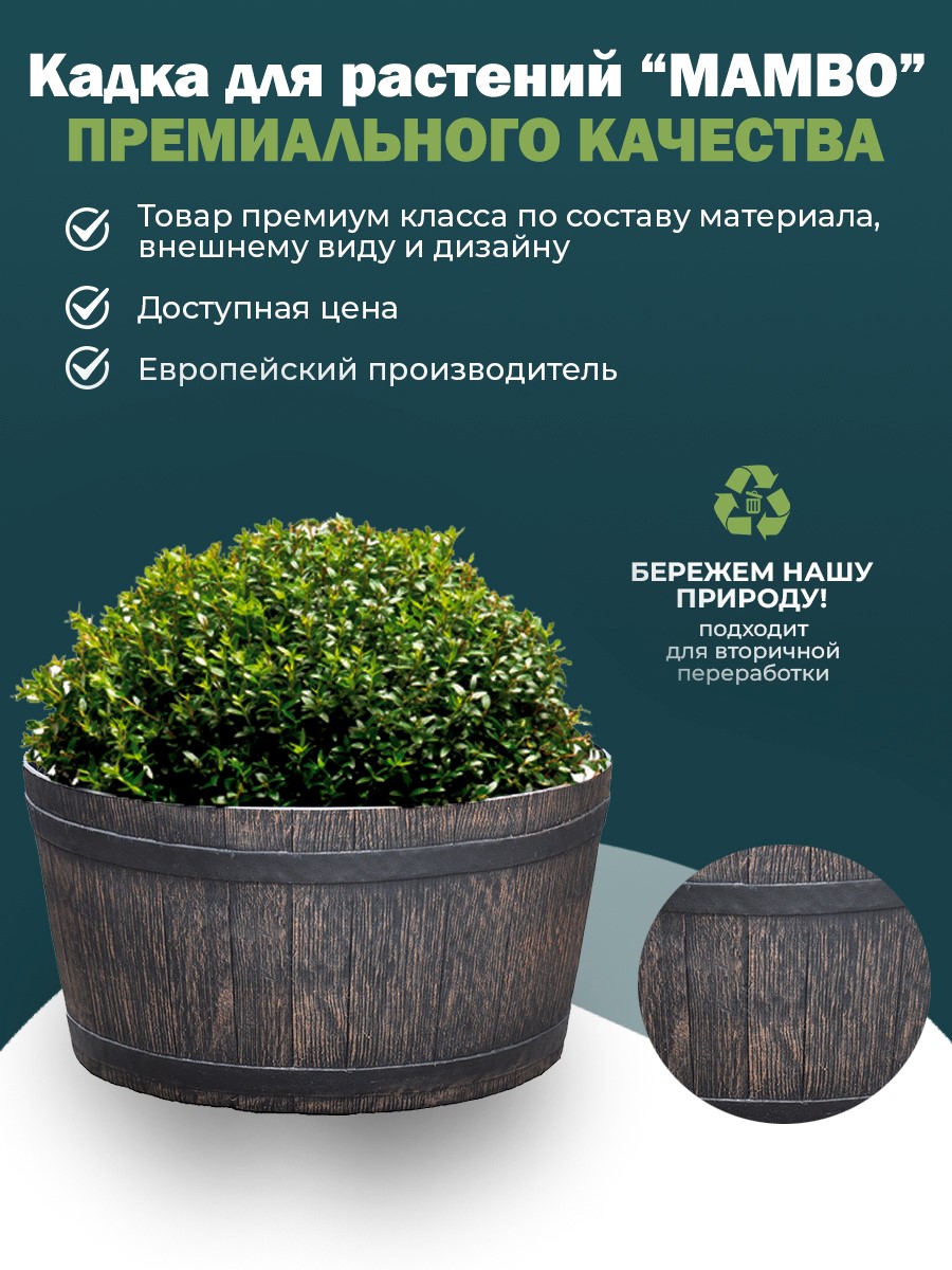 картинка MAMBO M Интернет-магазин "EraGarden"