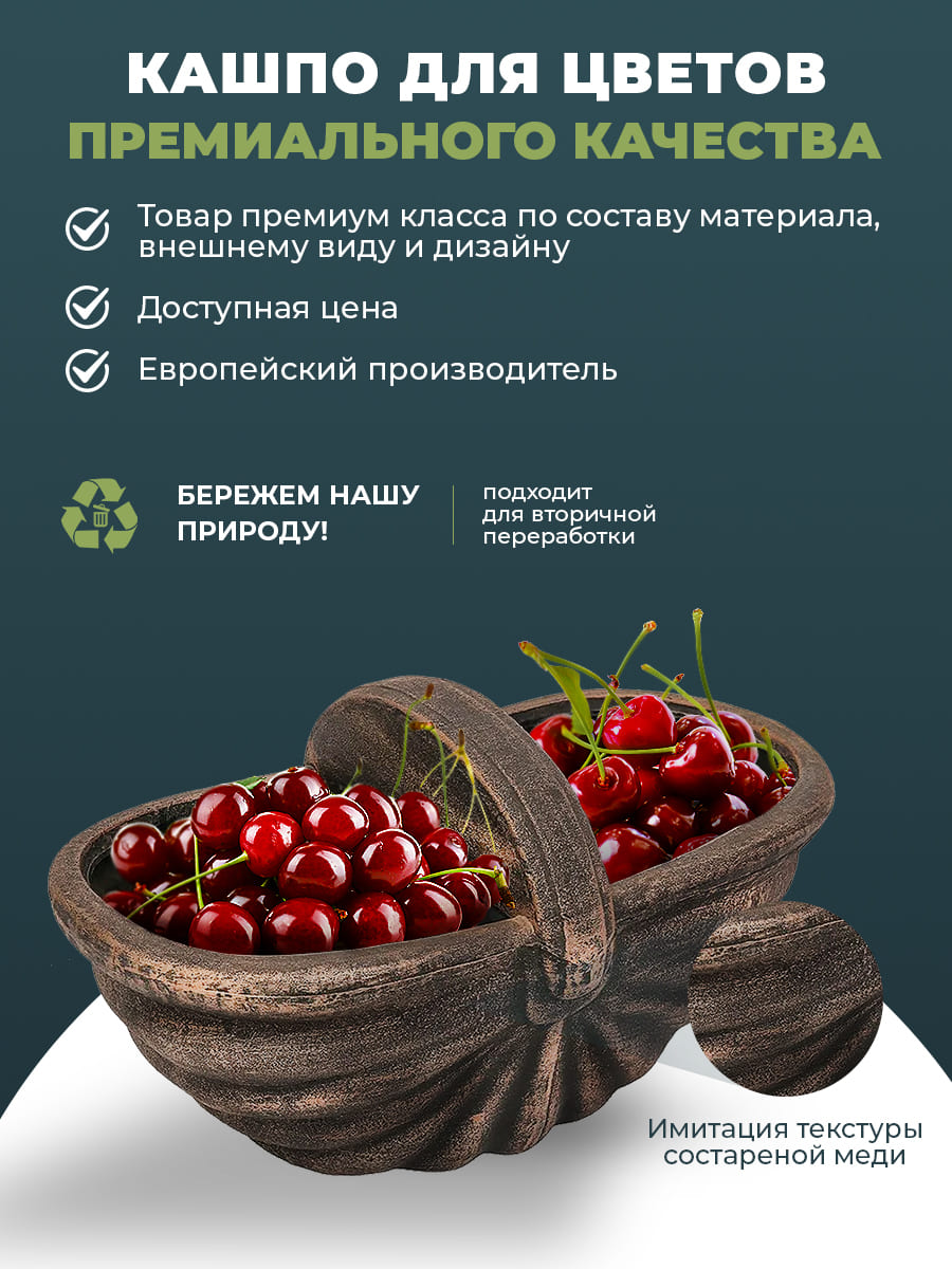 картинка Kosara S Интернет-магазин "EraGarden"